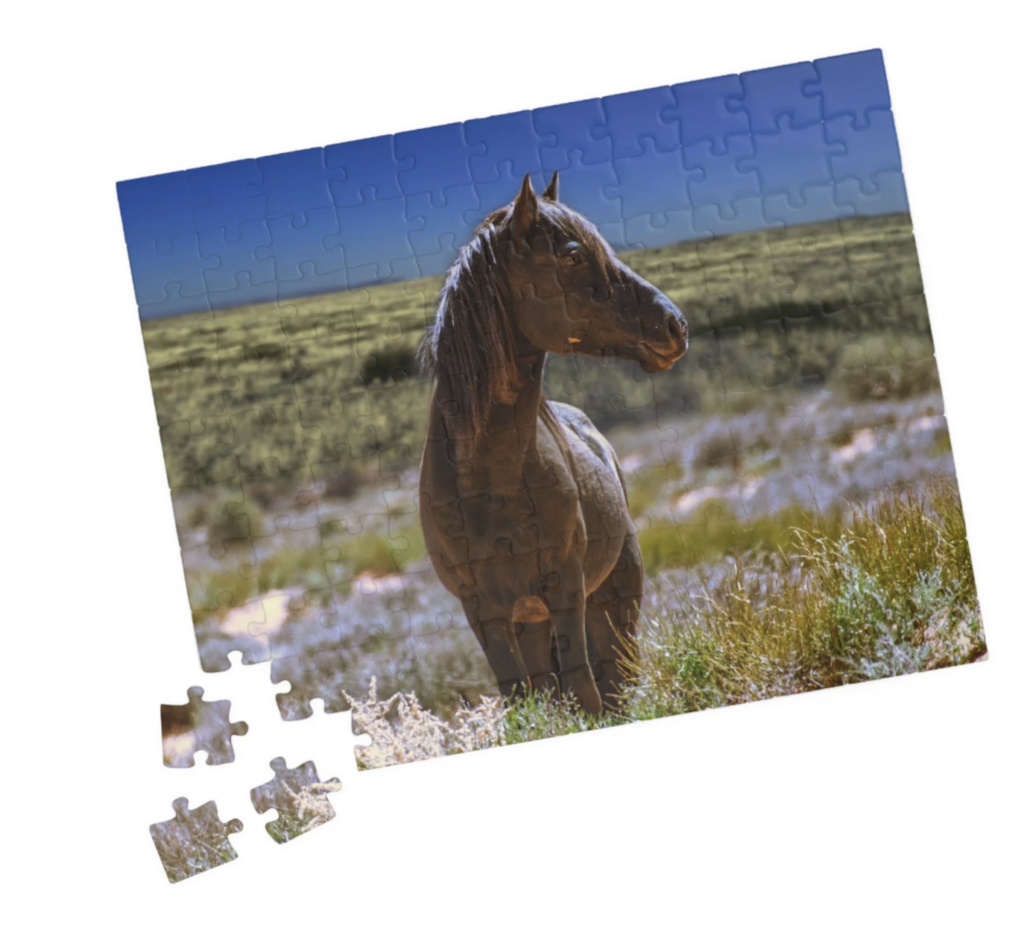 Wild Horse Puzzle - Equine Art Photo, Animal Puzzle - Arizona Landscape